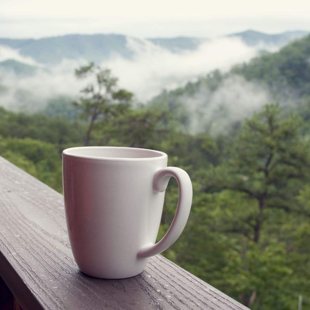 A imagem mostra uma xícara de café sobre uma amurada diante da natureza.